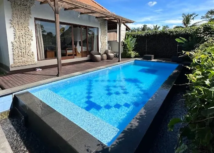 فيلة Dream House