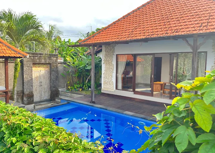 Dream House *